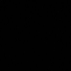 Meet your Posher, Maddie